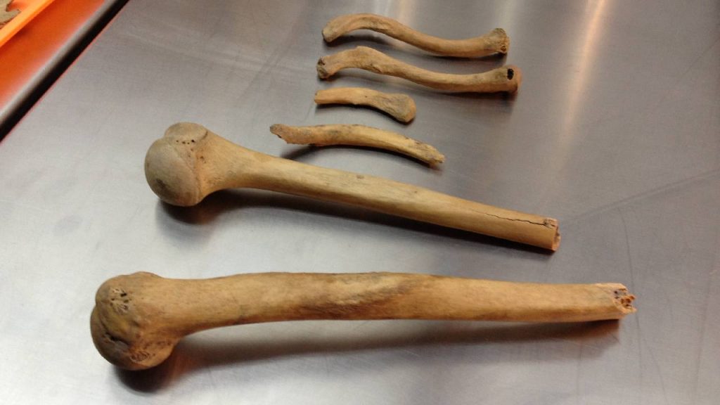 Analisis Forense Tlatelolco