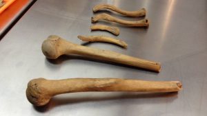 Analisis Forense Tlatelolco