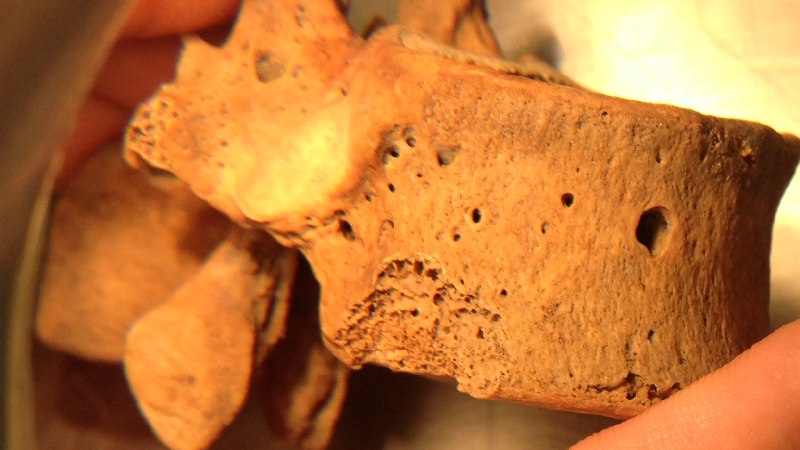 restos óseos en Tlatelolco