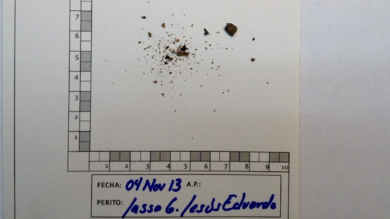 restos óseos en Tlatelolco