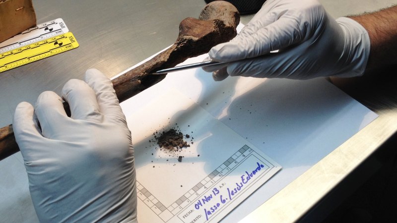 restos óseos en Tlatelolco