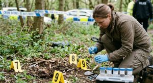 entomología forense aplicada en investigación criminal con insectos en escena del crimen